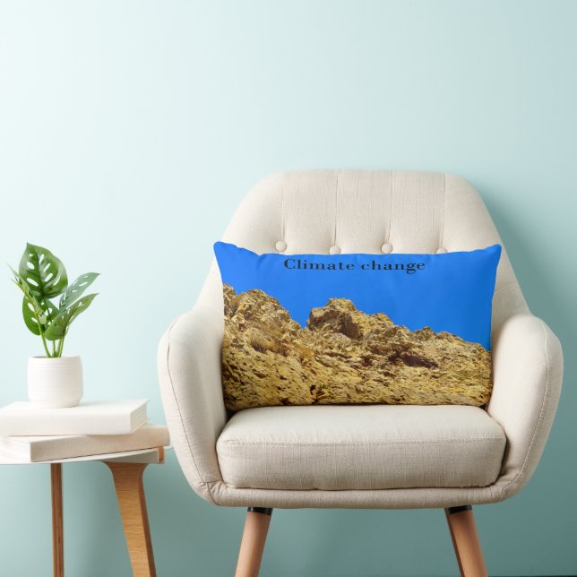 Coussin Rectangle Le changement climatique s'occupe de l'environneme (Chaise)