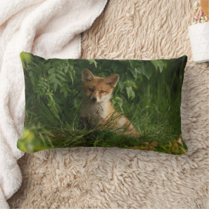 Coussin Rectangle Le chou renard dans une forêt verte