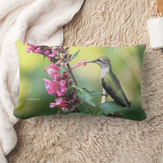 Coussin Rectangle Le colibri d'Anna sur les fleurs d'hyssop d'anis (Couverture)
