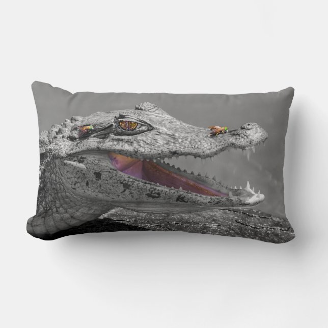 Coussin Rectangle Le crocodile souriant et les mouches - Costa Rica (Recto)