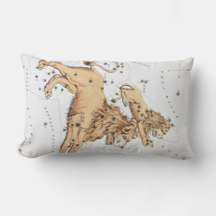 Coussin Rectangle Le miroir de l'Uranie, la constellation Vintage de