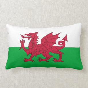 COUSSIN RECTANGLE LE PAYS DE GALLES