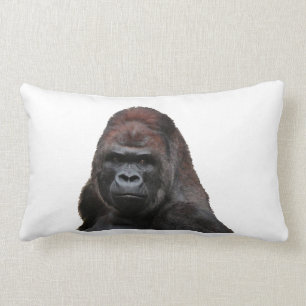 COUSSIN RECTANGLE LE SAGE