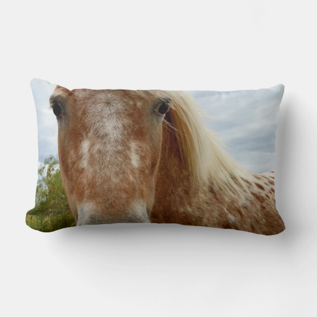 Coussin Rectangle "Le sucre : la grâce de l'Appaloosa" (Recto)