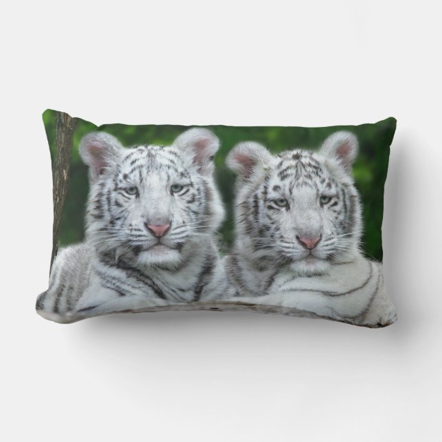 COUSSIN RECTANGLE LE TIGRE CUB DE DEUX BLANCS SE REPOSENT (Recto)