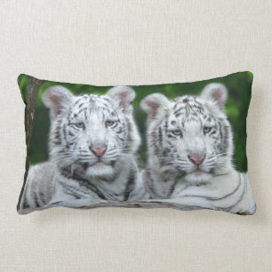 COUSSIN RECTANGLE LE TIGRE CUB DE DEUX BLANCS SE REPOSENT