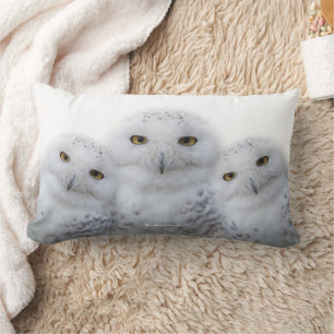 Coussin Rectangle Le trio des Chouettes de neige