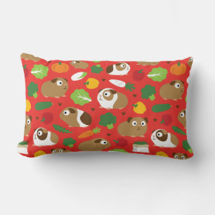Coussin Rectangle Les Cochons De Guinée Et Leurs Traitements
