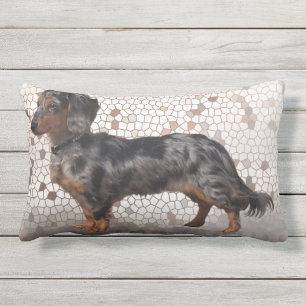 Coussin Rectangle Les teckels d'Eridox à cheveux longs tachettent l