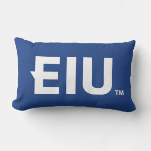 Coussin Rectangle LETTRE bloc EIU