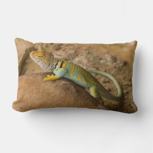 Coussin Rectangle Lézard collier