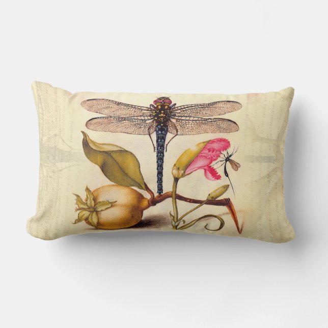 Coussin Rectangle Libellule Botanique Nature Faune Hoefnagel Art (Recto)