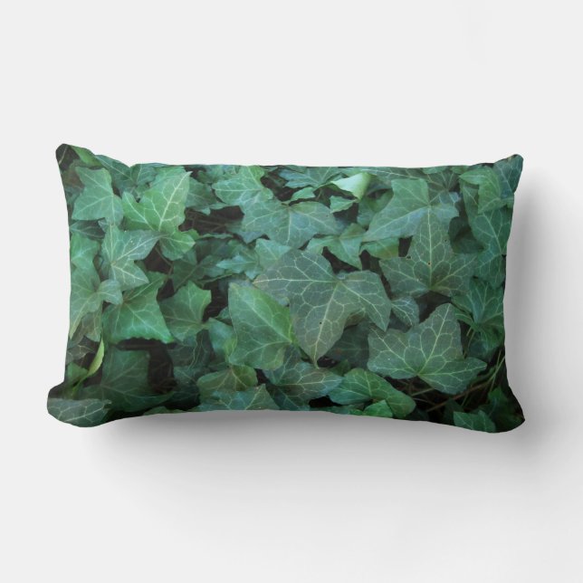 Coussin Rectangle Lierre (Recto)