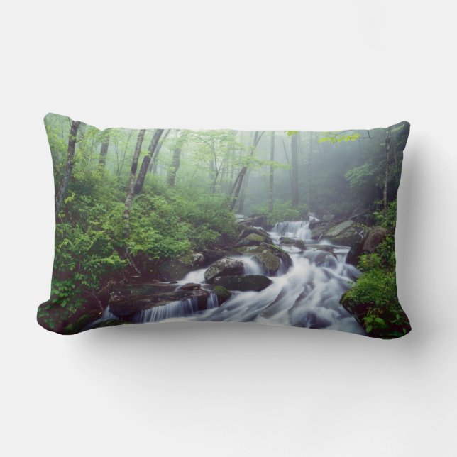 Coussin Rectangle Linn Cove Creek cascade à travers la brume (Recto)