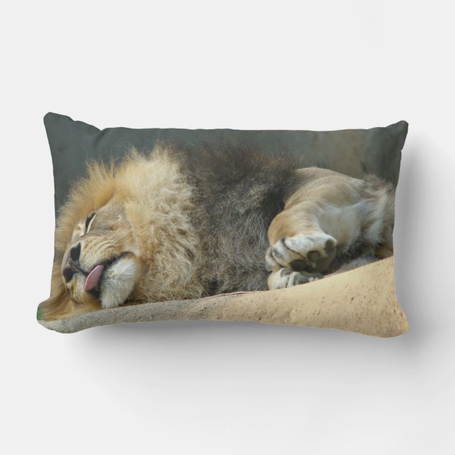 Coussin Rectangle Lion somnolent collant le carreau de langue (Recto)