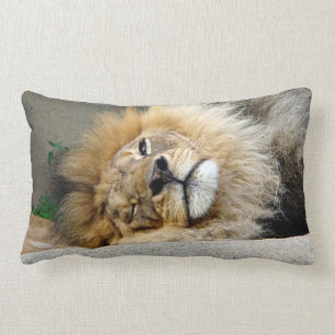 Coussin Rectangle Lion somnolent collant le carreau de langue