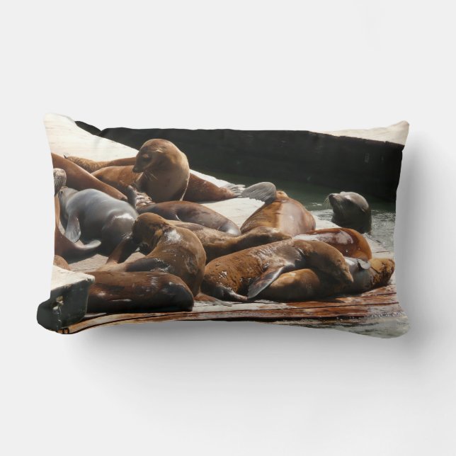 Coussin Rectangle Lions de mer au soleil à San Francisco (Recto)