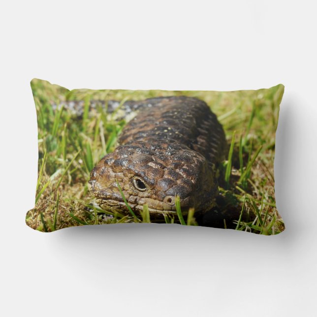 Coussin Rectangle Lizard De Langue Bleue, Whisperer D'Herbe, (Recto)