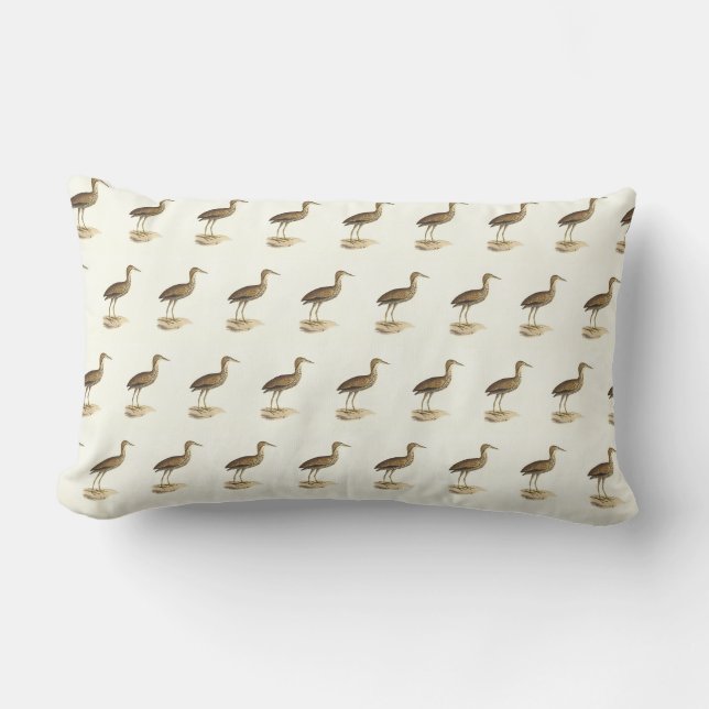 Coussin Rectangle L'oiseau de Bittern américain (Botaurus lentiginos (Recto)