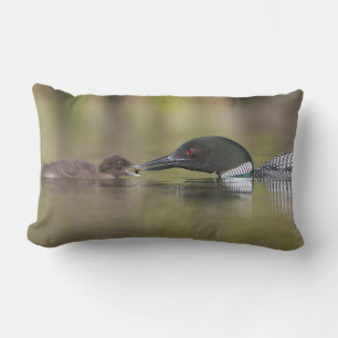 Coussin Rectangle Loon Adult Nourriture Chick