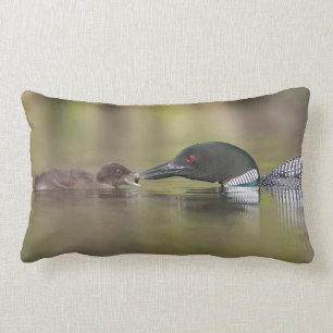 Coussin Rectangle Loon Adult Nourriture Chick
