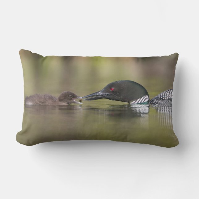Coussin Rectangle Loon adulte nourrissant un poussin (Recto)