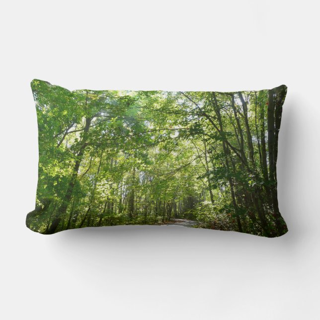 Coussin Rectangle Lumière du soleil sur le chemin en bois au Centenn (Recto)
