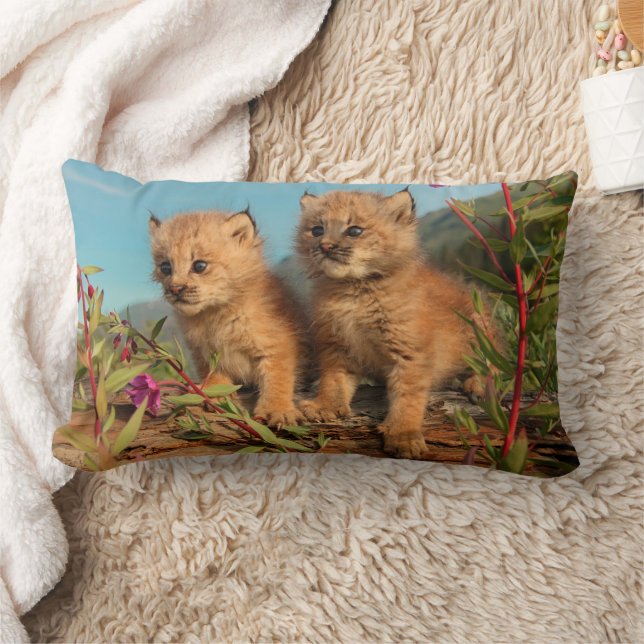 Coussin Rectangle Lynx Kittens, Canada, Alaska (Couverture)
