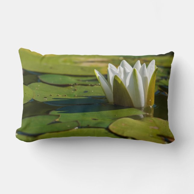 Coussin Rectangle Lys d'eau (Recto)