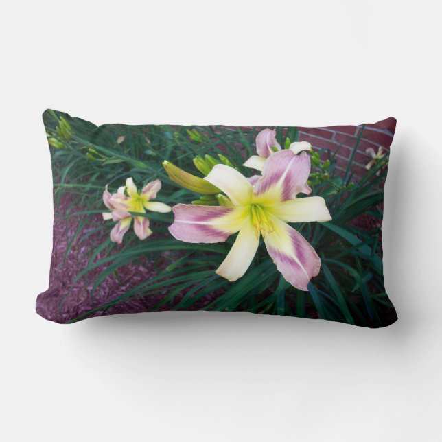Coussin Rectangle Lys violet/jaune Mojo américain lancer l'oreiller (Recto)