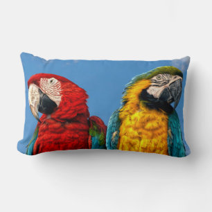 Coussin Rectangle Macaw bleu et jaune et macaw Scarlet