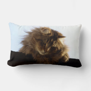 Coussin Rectangle Maine Coon cheveux longs Tabby Chat Animal Animal