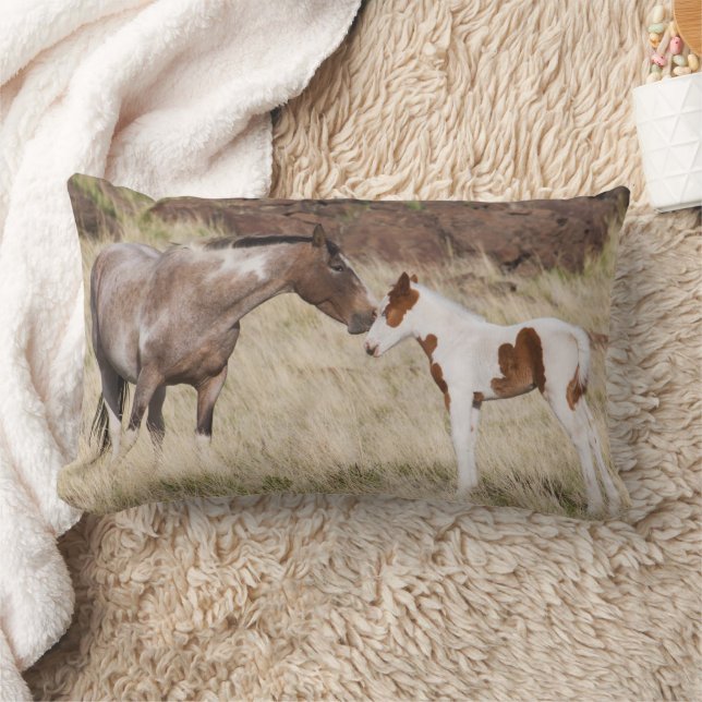 Coussin Rectangle Mare avec Colt (Couverture)