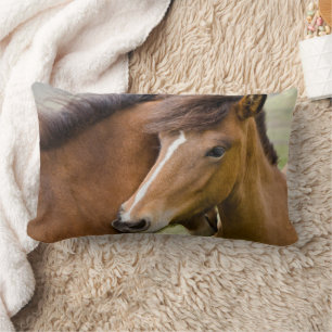 Coussin Rectangle Mare Et Colt