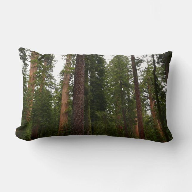 Coussin Rectangle Mariposa Grove dans le parc national de Yosemite (Recto)