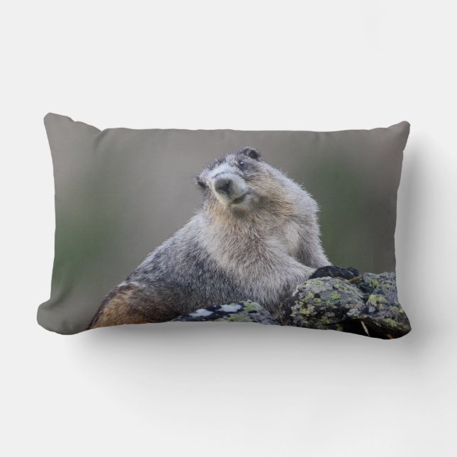 Coussin Rectangle marmotte de l'Alaska (Recto)