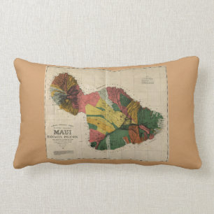 Coussin Rectangle Maui - Carte Vintage de l'Enquête Hawaï de 1885
