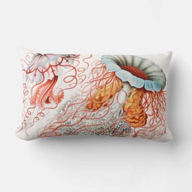 Coussin Rectangle Méduse, Discomedusae par Ernst Haeckel (Recto)