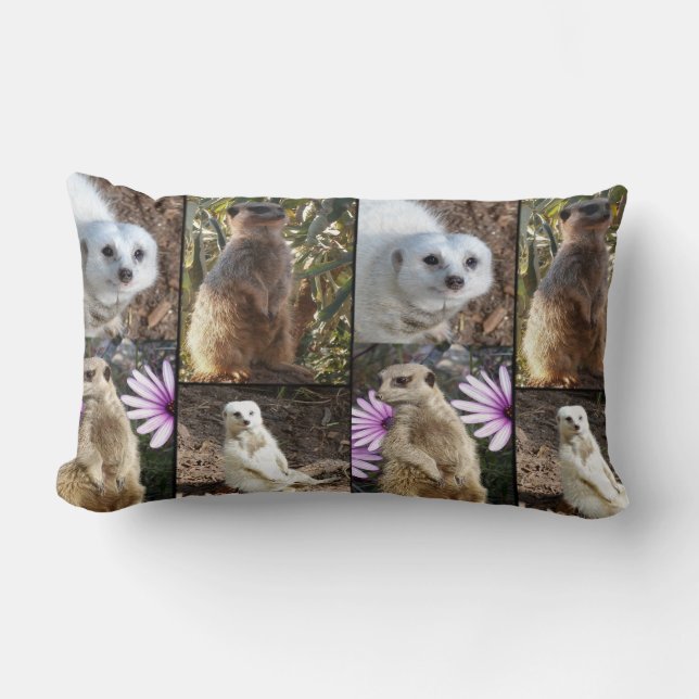 Coussin Rectangle Meerkat Photo Collage, Lumbar Cushion. (Recto)