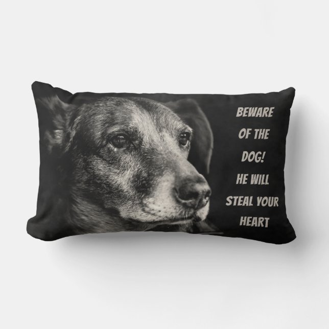 Coussin Rectangle Méfiez-vous du chien, photo de l'animal de compagn (Recto)