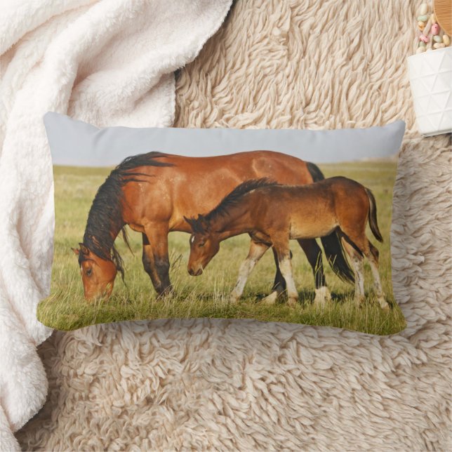 Coussin Rectangle Mère de cheval sauvage et poulain paissant (Couverture)