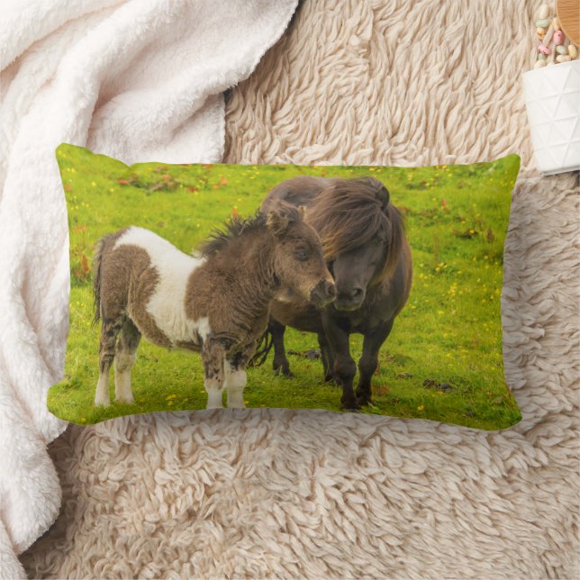 Coussin Rectangle Mère et progéniture de poney Shetland (Couverture)