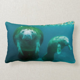 Coussin Rectangle Mère mangea avec son veau à Crystal River
