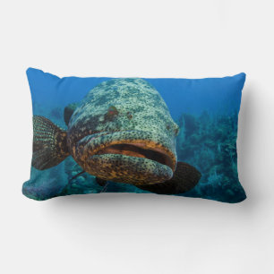 Coussin Rectangle Mérou géant de l'Atlantique