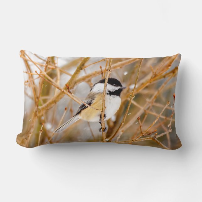 Coussin Rectangle Mésange à tête noire - Photographie originale (Recto)