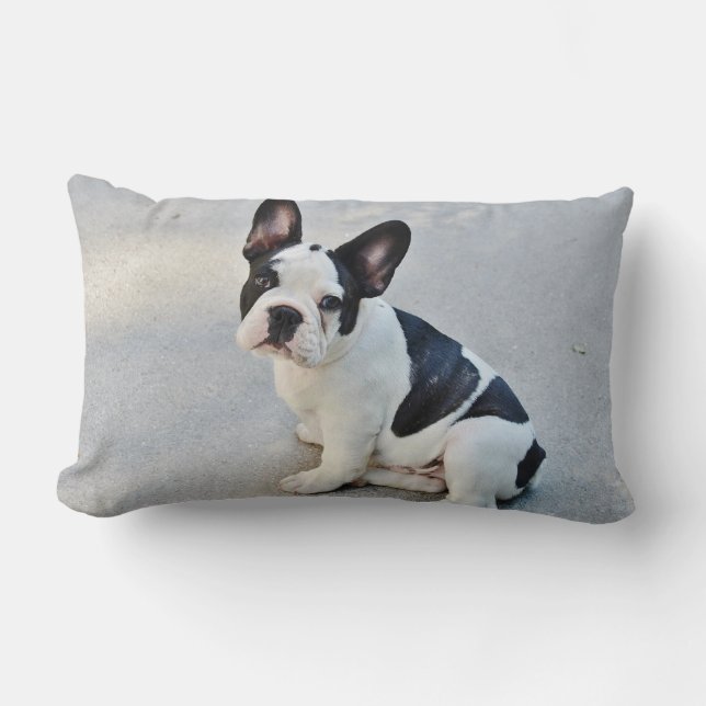 Coussin Rectangle Mignonne French Bulldog Chiot noir blanc (Recto)