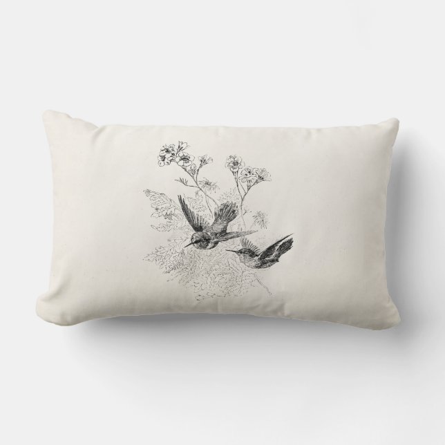 Coussin Rectangle Modèle vintage d'oiseaux d'antiquité de colibri (Recto)