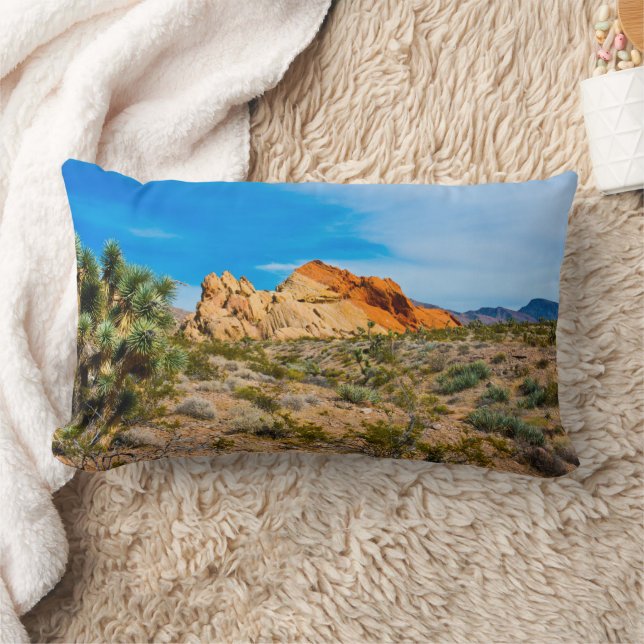 Coussin Rectangle Monument national de Gold Butte, Whitney Pocket (Couverture)