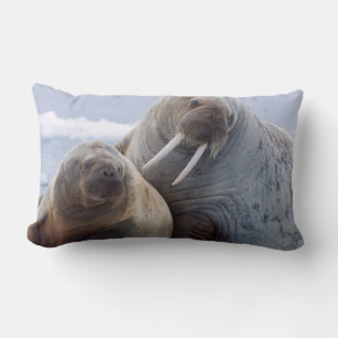 Coussin Rectangle Morse femelle et son petit reposent sur une banqui