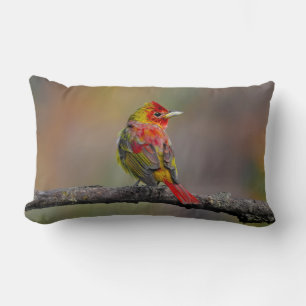 Coussin Rectangle Moulage de Tangère - Photo originale